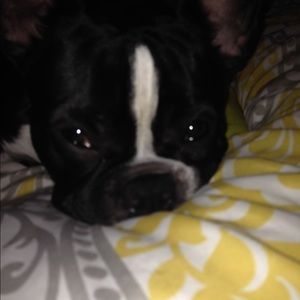 Meet your Posher, Elisabeth